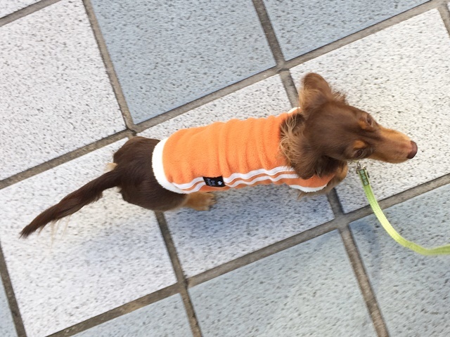 c0117831_17091872.jpg