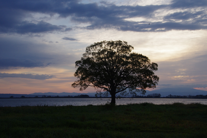 b0247838_21473495.jpg