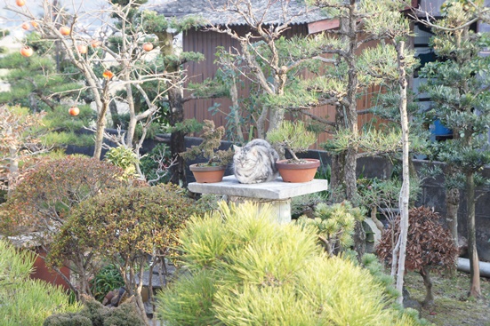 f0368538_9432054.jpg