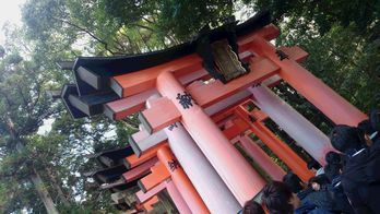 c0192740_10102579.jpg