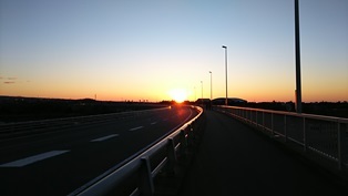 b0080342_20240432.jpg