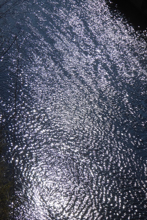 d0288144_16274074.jpg