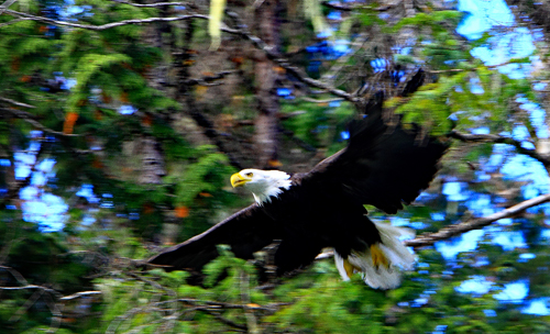 f0055244_17525256.jpg
