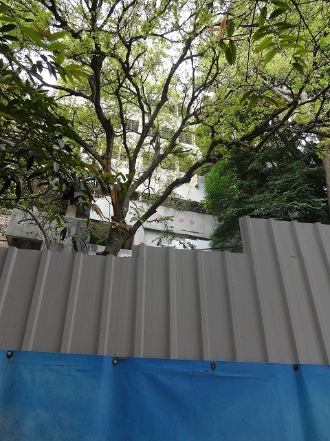 d0334268_22075444.jpg