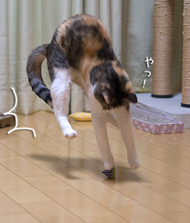 a0119470_2095715.jpg