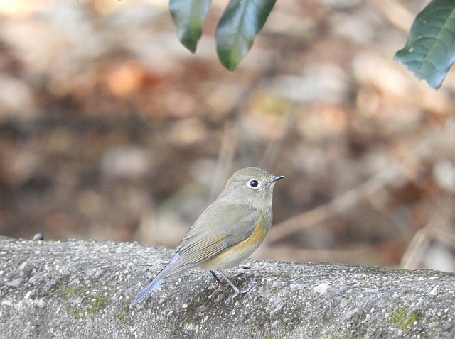f0378979_8385590.jpg