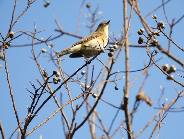 f0378979_8495117.jpg
