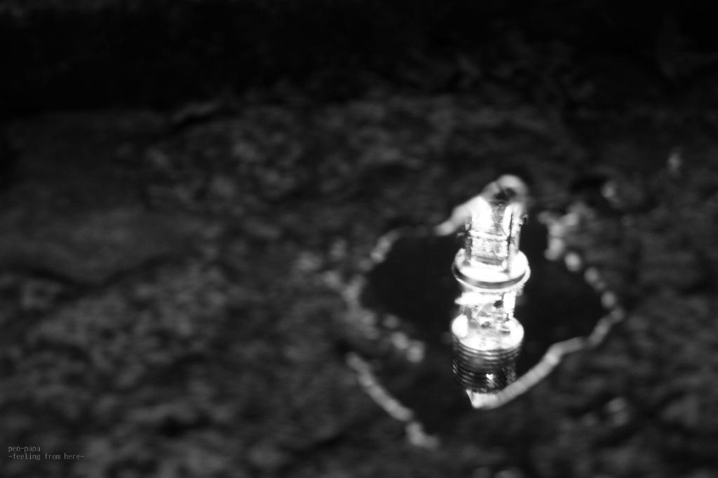 c0356480_16432496.jpg