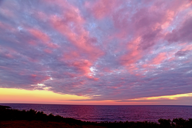 b0137083_10542699.jpg