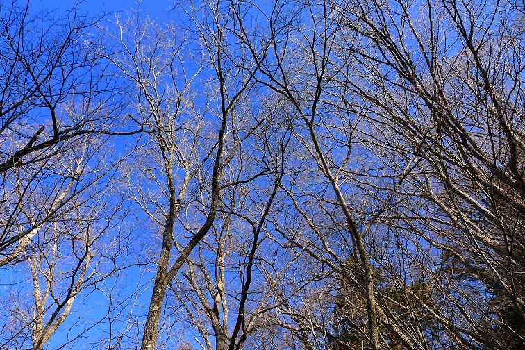 a0130586_10192434.jpg