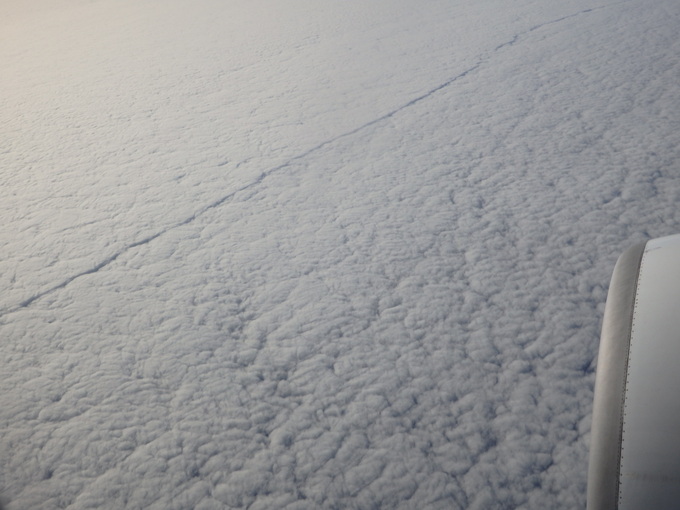 b0197486_8155982.jpg