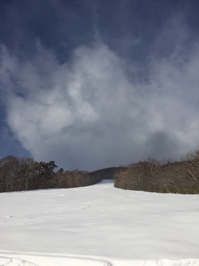 c0223286_106378.jpg