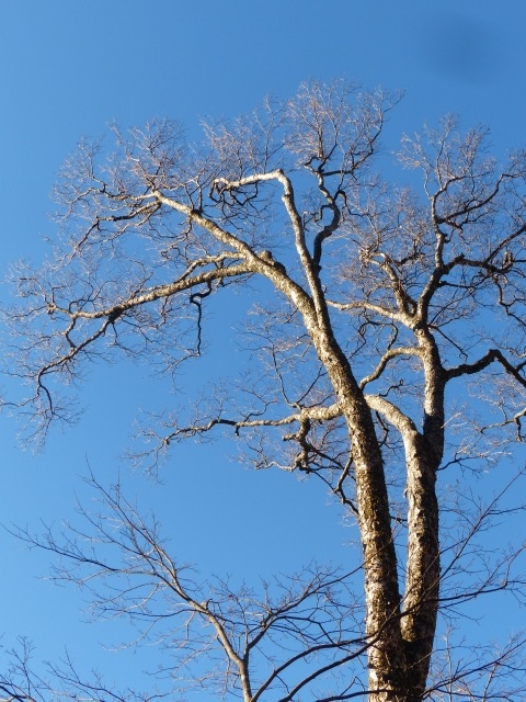 f0357487_21384034.jpg