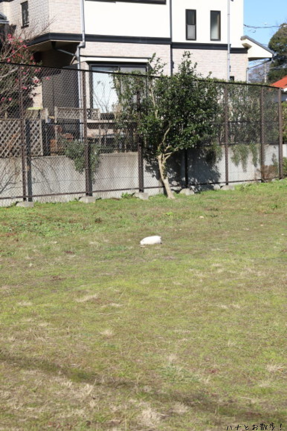 b0275998_12095059.jpg