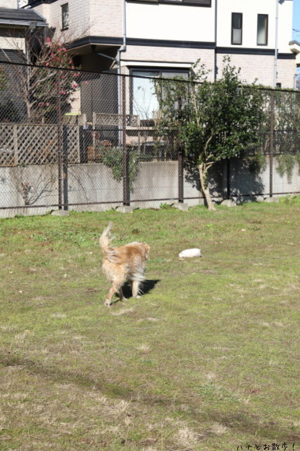 b0275998_12393284.jpg