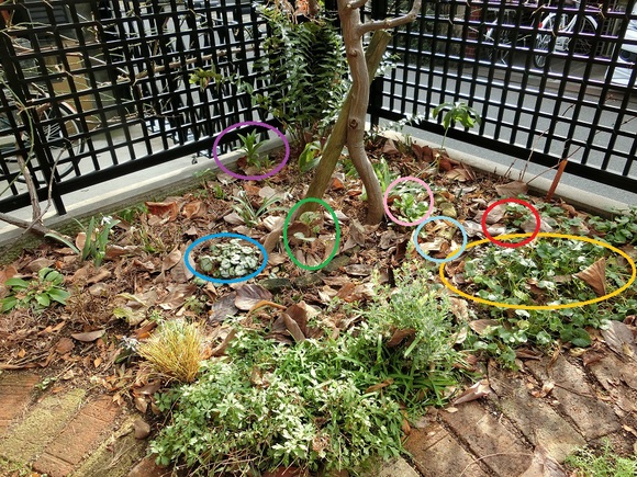 e0234004_18344070.jpg