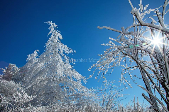 冬景色　　樹氷と富士山　（写真部門） - 山麓風景と編み物　　　　