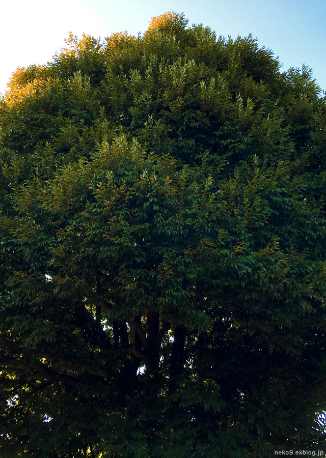 a0233917_123437.jpg