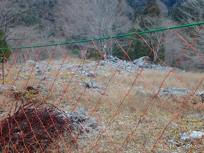 f0193521_18333170.jpg