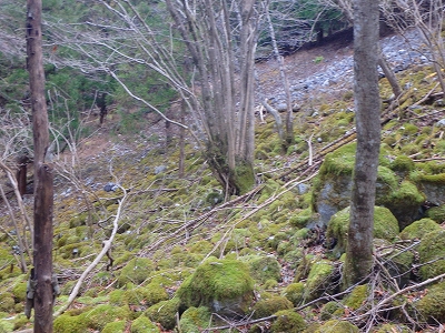 f0193521_18343510.jpg
