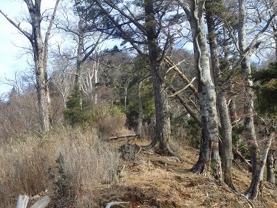 f0193521_18451250.jpg