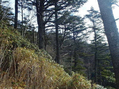 f0193521_18453481.jpg