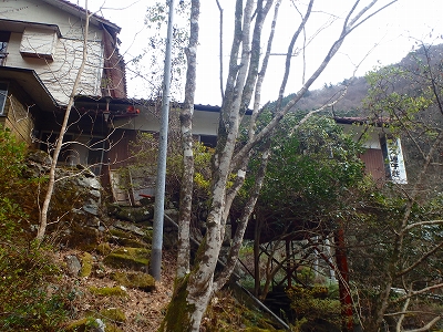 f0193521_1941575.jpg
