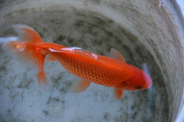 f0147025_222407.jpg