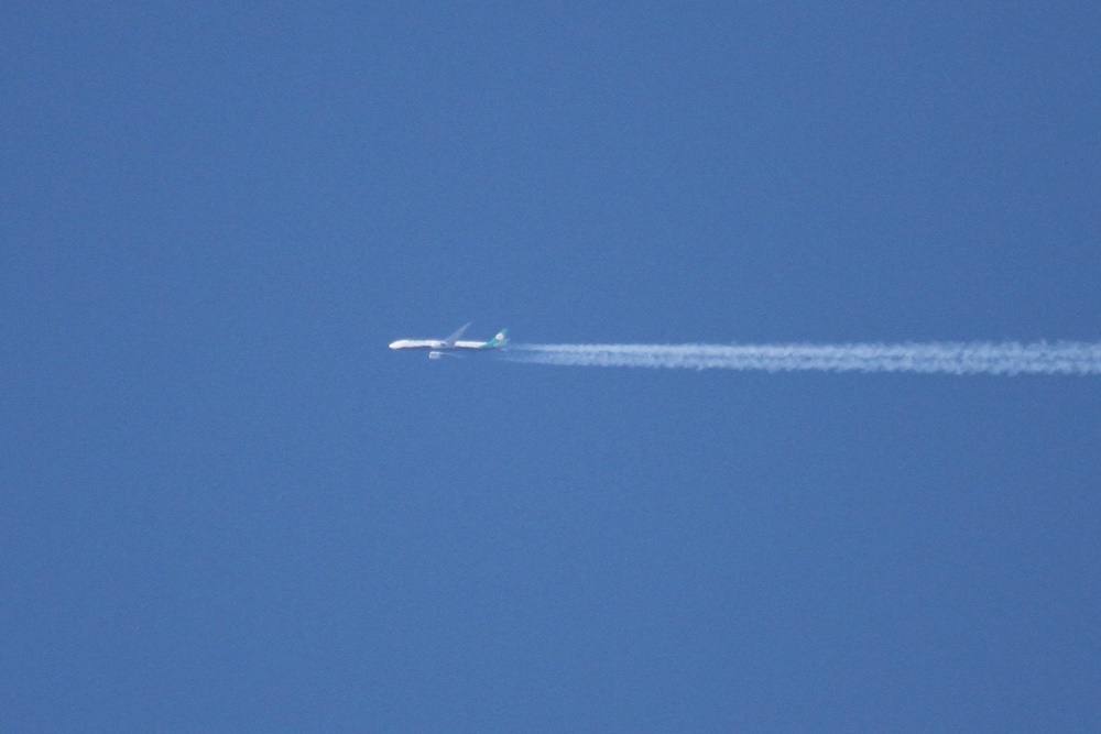 c0111229_17502484.jpg