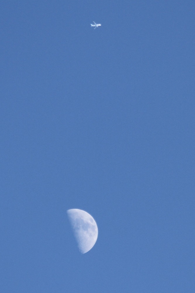 c0111229_17504880.jpg