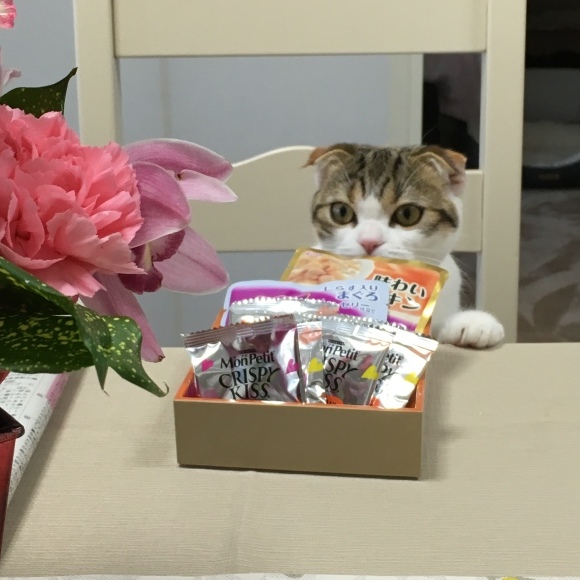 f0231829_13053404.jpeg