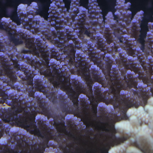 d0221436_2031838.jpg