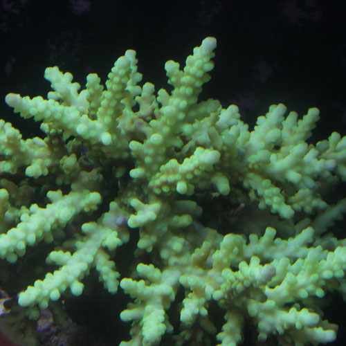 d0221436_2032717.jpg