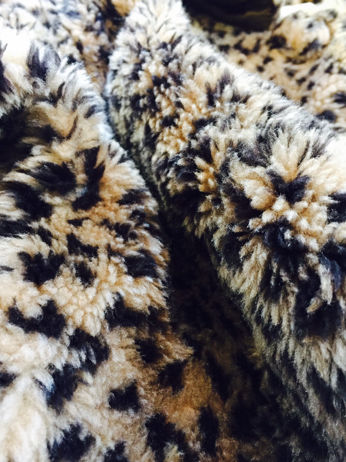 c0177238_15175070.jpg