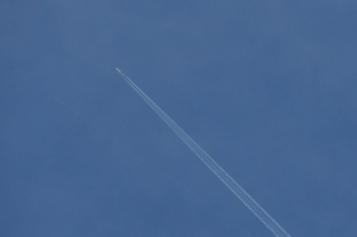 e0156339_16000438.jpg
