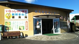 b0080342_10001907.jpg