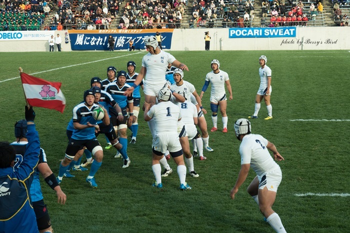 e0173743_22465170.jpg