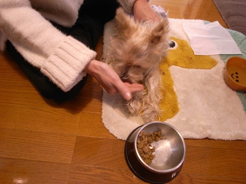 e0138549_13023775.jpg