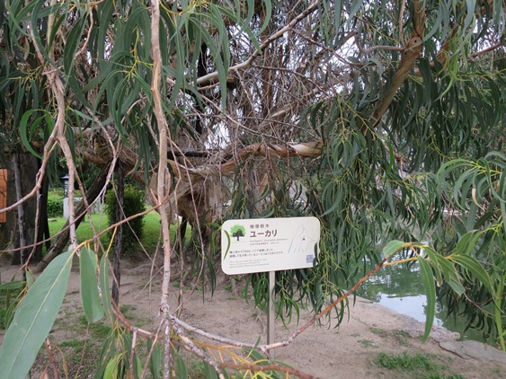f0202151_114687.jpg