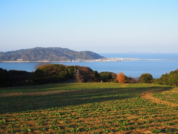 f0201157_07320452.jpg