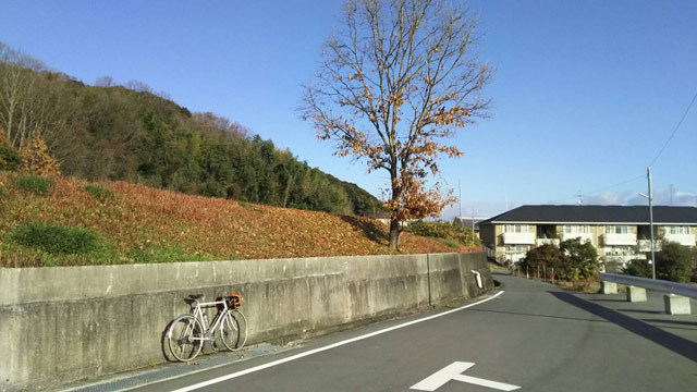 c0107075_22553710.jpg