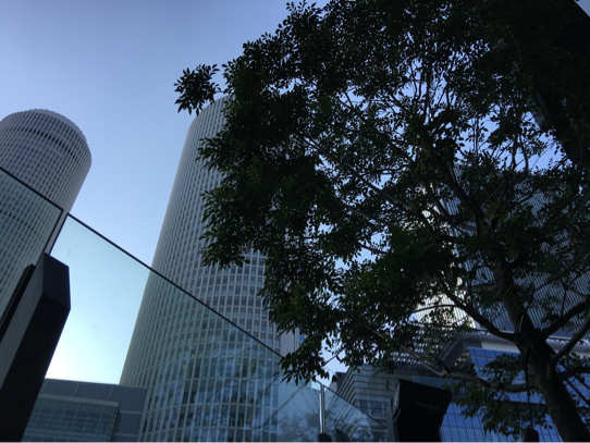 a0302478_07581316.jpg