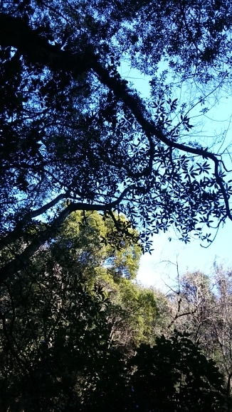 e0024081_20132371.jpg