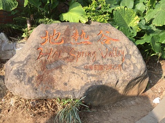 f0231785_161797.jpg