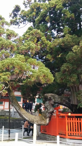 b0128589_23293273.jpg