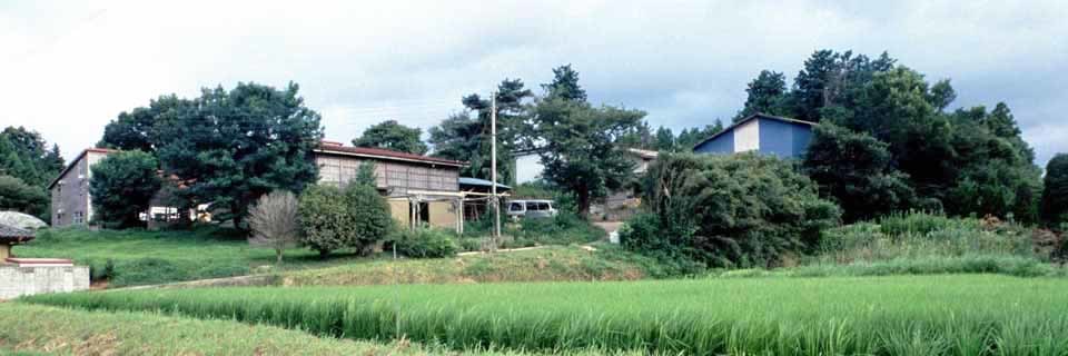 c0170789_11382088.jpg