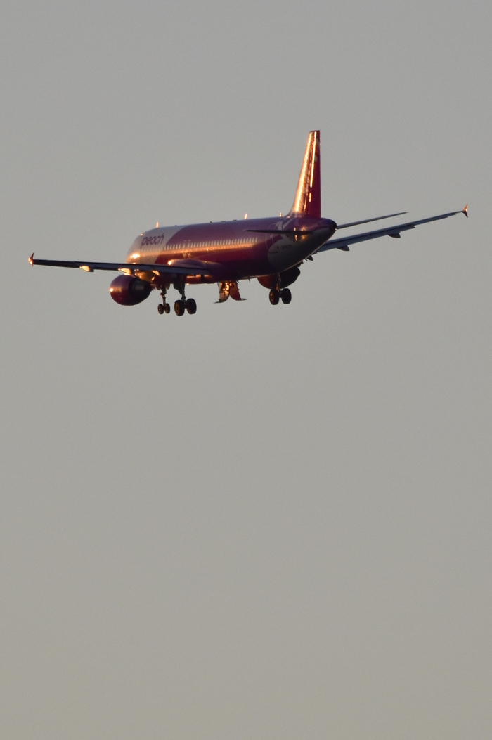 c0049299_22330234.jpg