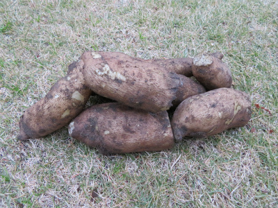 c0125501_2313148.jpg