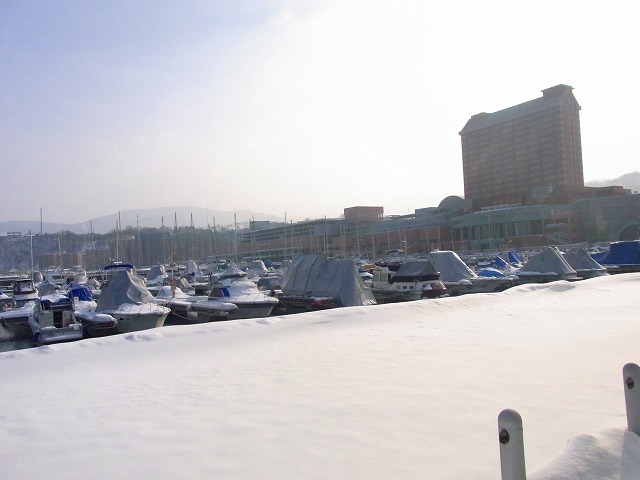f0157901_09150668.jpg