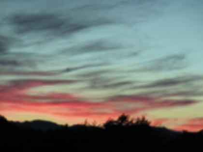 e0001110_1131042.jpg